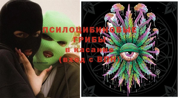 герыч Алексин