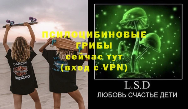 герыч Алексин