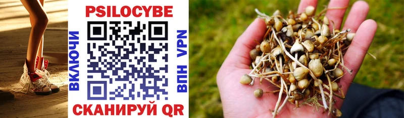 где найти наркотики  Ивангород  Псилоцибиновые грибы Psilocybine cubensis 